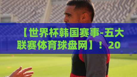 【世界杯韩国赛事-五大联赛体育球盘网】！2026韩国队世界杯之旅：从预选赛到正赛的实战策略
