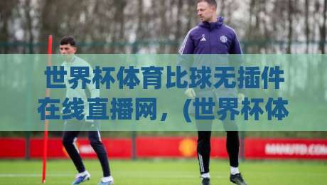 世界杯体育比球无插件在线直播网，(世界杯体育比球无插件在线直播网)让你畅享2026高清赛事