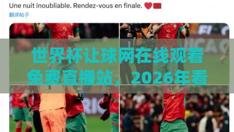 世界杯让球网在线观看免费直播站，2026年看球竞猜首选平台(世界杯免费直播)