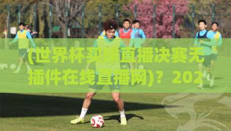 (世界杯买球直播决赛无插件在线直播网)？2026年观赛指南来了！
