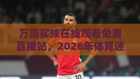 万赢买球在线观看免费直播站，2026年体育迷的秘密武器！（万赢买球在线观看免费直播站）