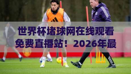 世界杯堵球网在线观看免费直播站！2026年最新观赛渠道实测分享(世界杯堵球网)