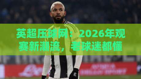英超压球网:2026年观赛新潮流,老球迷都懂的门道 英超压球网:2026年观赛新潮流,老球迷都懂的门道