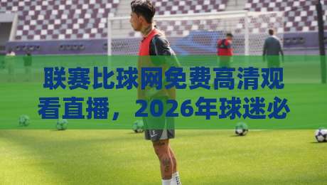 联赛比球网免费高清观看直播，2026年球迷必看的终极观赛指南【联赛比球网】