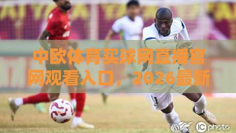 中欧体育买球网直播官网观看入口，2026最新入口指南（中欧体育买球网）
