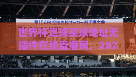 世界杯足球买球地址无插件在线直播网，2026年看球还踩坑？(世界杯足球买球地址无插件在线直播网)