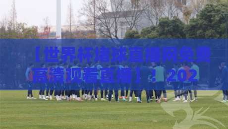【世界杯堵球直播网免费高清观看直播】！2026观赛必备指南与避坑技巧