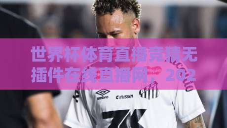 世界杯体育直播竞猜无插件在线直播网，2026球迷的新大陆