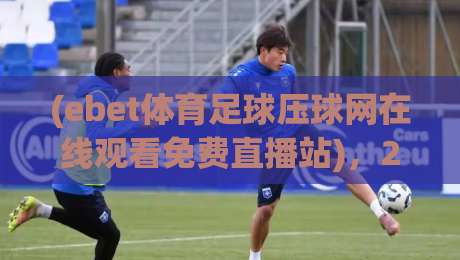 (ebet体育足球压球网在线观看免费直播站)，2026年足球迷的终极观赛神器？揭秘ebet体育足球压球网在线观看免费直播站的真相