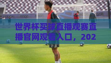 世界杯买球直播观赛直播官网观看入口，2026年最新指南！