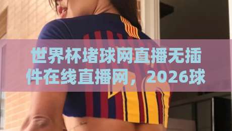 世界杯堵球网直播无插件在线直播网，2026球迷的免费观赛新选择！