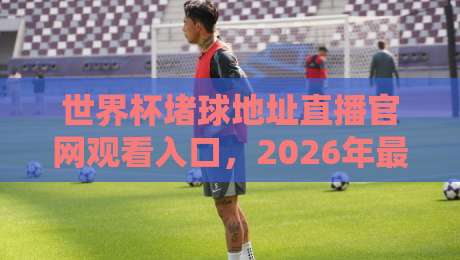 世界杯堵球地址直播官网观看入口,2026年最全观赛攻略(附防坑指南) 世界杯堵球地址直播官网观看入口,2026年最全观赛攻略(附防坑指南)