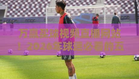 万赢买球视频直播网站！2026年球迷必看的五大亮点（深度测评）