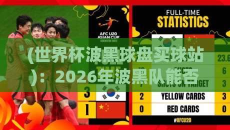 (世界杯波黑球盘买球站)：2026年波黑队能否创造奇迹？