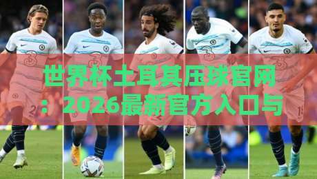 世界杯土耳其压球官网：2026最新官方入口与使用评测
