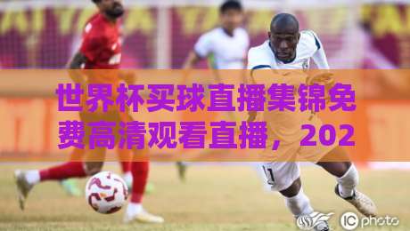 世界杯买球直播集锦免费高清观看直播，2026年球迷必备指南！