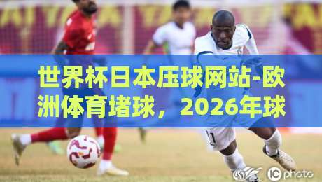 世界杯日本压球网站-欧洲体育堵球，2026年球迷必看避坑指南