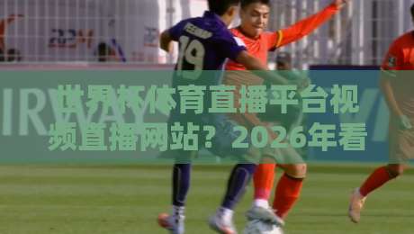 世界杯体育直播平台视频直播网站？2026年看球新选择！（世界杯体育直播平台视频直播网站）体验升级