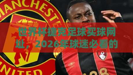 世界杯捷克足球买球网址，2026年球迷必看的安全投注指南