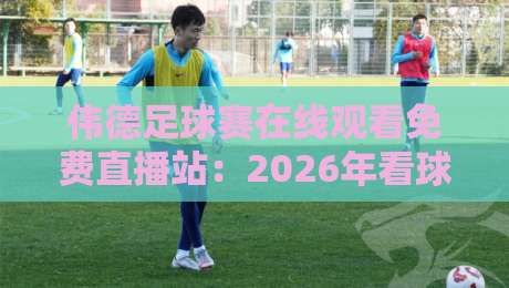 伟德足球赛在线观看免费直播站:2026年看球新姿势,老球迷都用的秘密武器 伟德足球赛在线观看免费直播站:2026年看球新姿势,老球迷都用的秘密武器