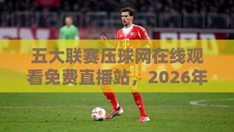 五大联赛压球网在线观看免费直播站，2026年球迷必藏的高清观赛指南
