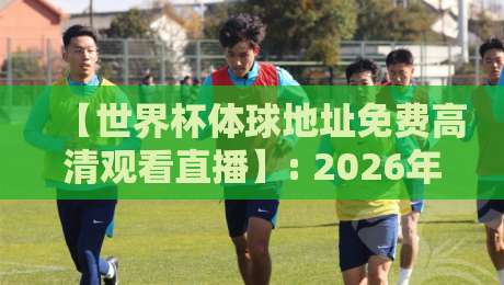 【世界杯体球地址免费高清观看直播】: 2026年最新观赛指南，真香体验来了！