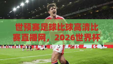 世预赛足球比球高清比赛直播网,2026世界杯预选赛球迷必备观赛指南 世预赛足球比球高清比赛直播网,2026世界杯预选赛球迷必备观赛指南