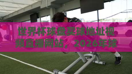 世界杯球盘买球地址视频直播网站，2026年球迷首选这5个平台（附避坑指南）