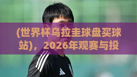 (世界杯乌拉圭球盘买球站)，2026年观赛与投注的硬核实战指南