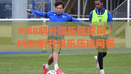 M88明升娱乐压球网 | M88明升娱乐压球网带你读懂压球玩法：从入门到进阶的实战思路-最大权威网页体球站文字中文解说直播指南蓝光低水
