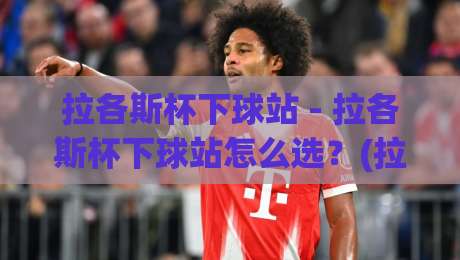 拉各斯杯下球站 - 拉各斯杯下球站怎么选？(拉各斯杯下球站) 2026年观赛与数据平台新趋势-最全手机信誉进球站大全早盘文字中文解说直播指南