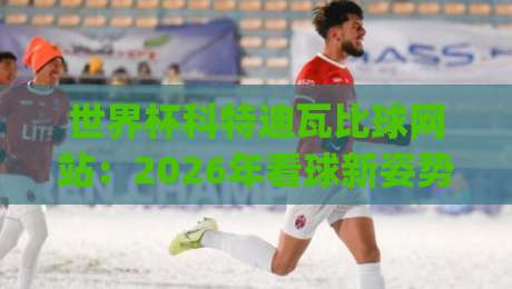 世界杯科特迪瓦比球网站：2026年看球新姿势，你get了吗？