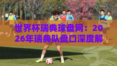 世界杯瑞典球盘网:2026年瑞典队盘口深度解析与投注逻辑