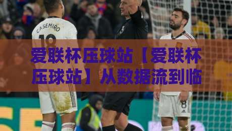 爱联杯压球站【爱联杯压球站】从数据流到临场感：一个老玩家眼中的爱联杯压球站生态演变-线上十大最稳让球站赛程投注录像回放策略波胆积分榜