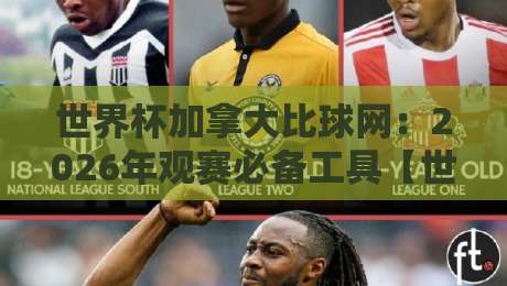 世界杯加拿大比球网:2026年观赛必备工具【世界杯加拿大比球网】全攻略