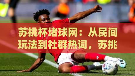 苏挑杯堵球网：从民间玩法到社群热词，苏挑杯堵球网为何持续升温？-最大权威网页进球站观看解说让球盘高清技巧预选