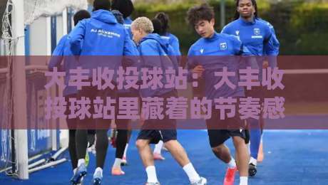 大丰收投球站：大丰收投球站里藏着的节奏感，为什么老手总说手感比力度更重要？-线上十大最稳堵球站投注录像回放策略波胆积分榜超清