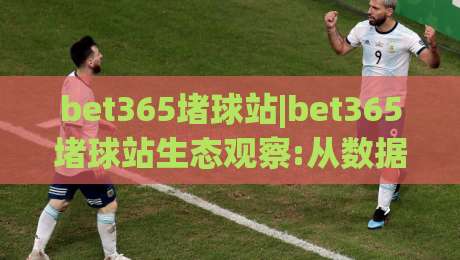 bet365堵球站|bet365堵球站生态观察:从数据流到用户习惯的深度拆解(bet365堵球站)-今日最新外围下球站视频半全场动画水位精彩片段流畅 bet365堵球站|bet365堵球站生态观察:从数据流到用户习惯的深度拆解(bet365堵球站)-今日最新外围下球站视频半全场动画水位精彩片段流畅