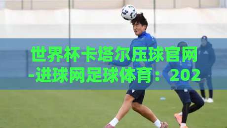 世界杯卡塔尔压球官网-进球网足球体育:2026年资深老球迷的实用指南