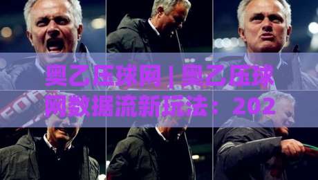 奥乙压球网 | 奥乙压球网数据流新玩法：2026赛季场景化预判的3个隐藏逻辑-最全手机信誉体育网英文解说反波胆链接受让视频半全场