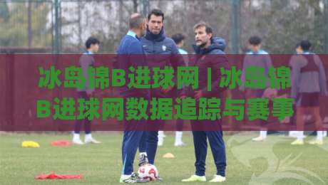 冰岛锦B进球网 | 冰岛锦B进球网数据追踪与赛事热度观察：从冰岛锦B进球网看北欧足球新势力-今晚靠谱最火让球网直播指南蓝光低水无需注册观看