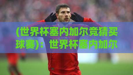 (世界杯塞内加尔竞猜买球赛)：世界杯塞内加尔竞猜买球赛，2026年看球别踩坑！