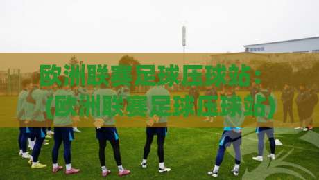 欧洲联赛足球压球站: (欧洲联赛足球压球站) 2026年资深玩家亲测避坑指南