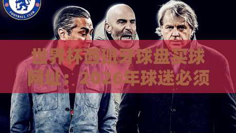 世界杯西班牙球盘买球网址:2026年球迷必须知道的3个安全选择