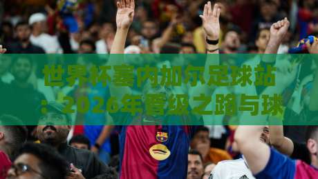 世界杯塞内加尔足球站：2026年晋级之路与球迷热土全解析