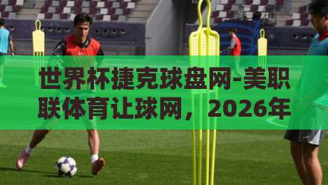 世界杯捷克球盘网-美职联体育让球网，2026年玩家必看的五大避坑指南【世界杯捷克球盘网-美职联体育让球网】