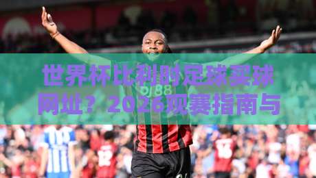 世界杯比利时足球买球网址？2026观赛指南与官方渠道全解析