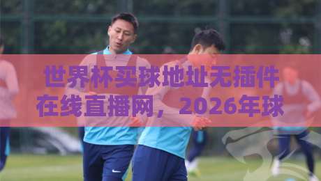 世界杯买球地址无插件在线直播网，2026年球迷必备的观赛神器！