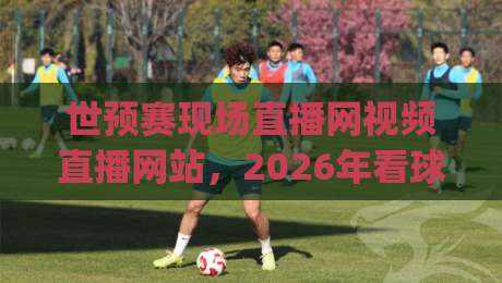 世预赛现场直播网视频直播网站，2026年看球新姿势你get了吗？