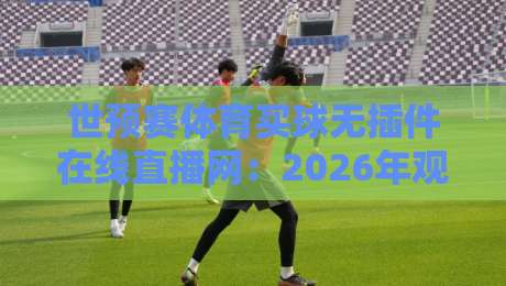 世预赛体育买球无插件在线直播网：2026年观赛指南，教你玩转【世预赛体育买球无插件在线直播网】的高效技巧